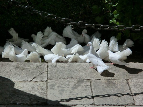 395975_438886226132812_1731671951_nsmall