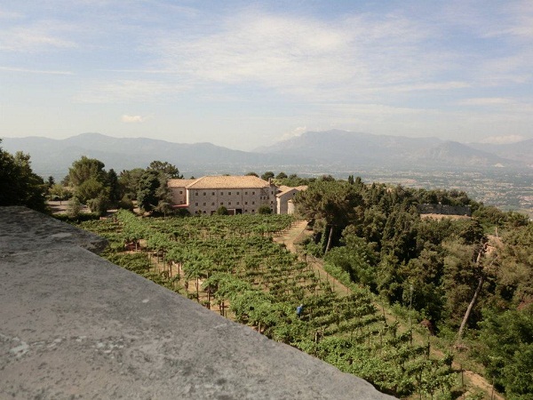 488029_438886502799451_791539049_nsmall